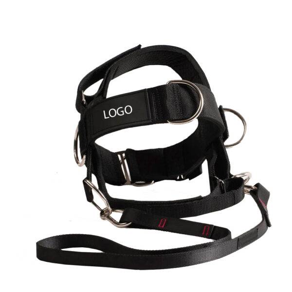 Comfortable neck harness|Wholesale Supplier & Manufacturer|Decent Martial Arts - Image 2