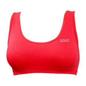 Fitness bra for weightlifting|Wholesale Supplier & Manufacturer|Decent Fight Wears