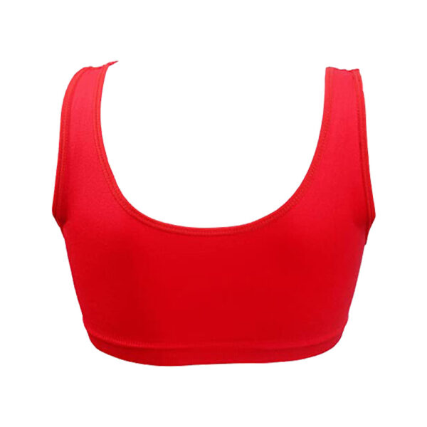 Fitness bra for weightlifting|Wholesale Supplier & Manufacturer|Decent Fight Wears - Image 3