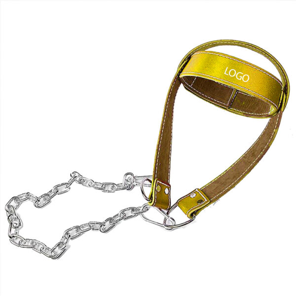 gym neck harness |Wholesale Supplier & Manufacturer|Decent Martial Arts - Image 2