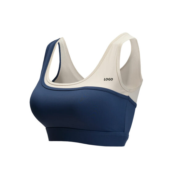 best fitness bra|Wholesale Supplier & Manufacturer|Decent Fight Wears - Image 2