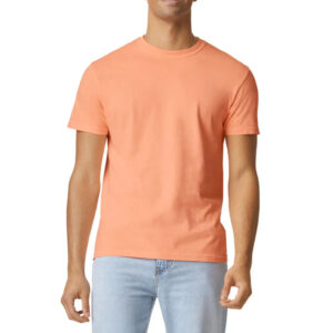 Best Graphic T-Shirts Collection | Shop Now  | Latest Designs 2026 |Wholesale Supplier & Manufacturer|Decent Fight Wears